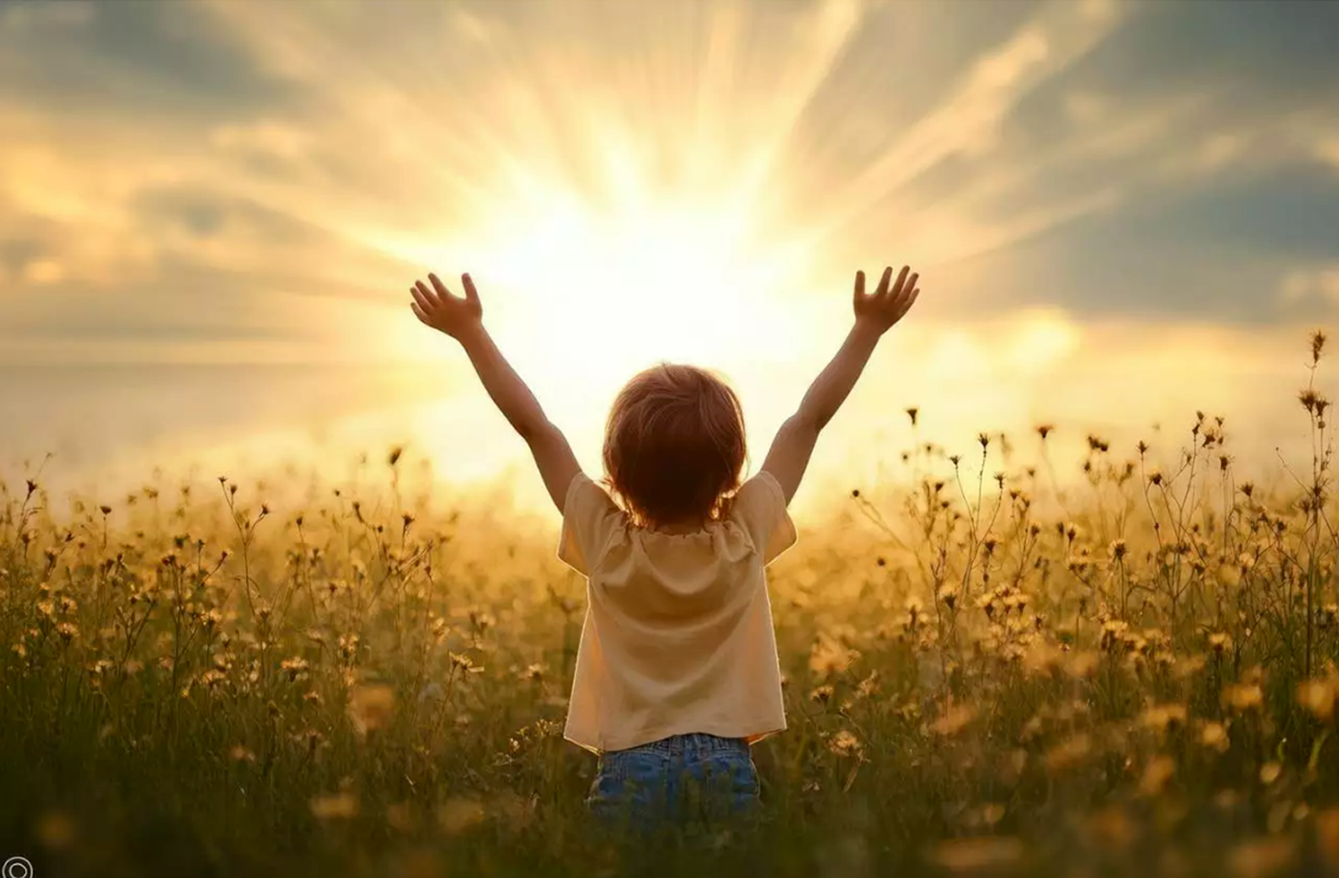 Foto: k | Adobe Stock Foto: k | Adobe Stock