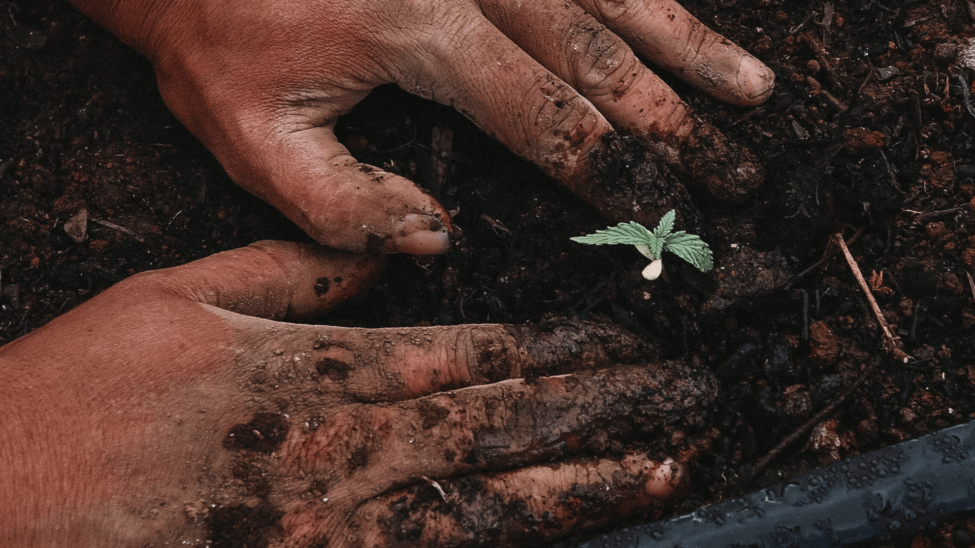 Foto: GreenForceStaffing via Unsplash Foto: GreenForceStaffing via Unsplash