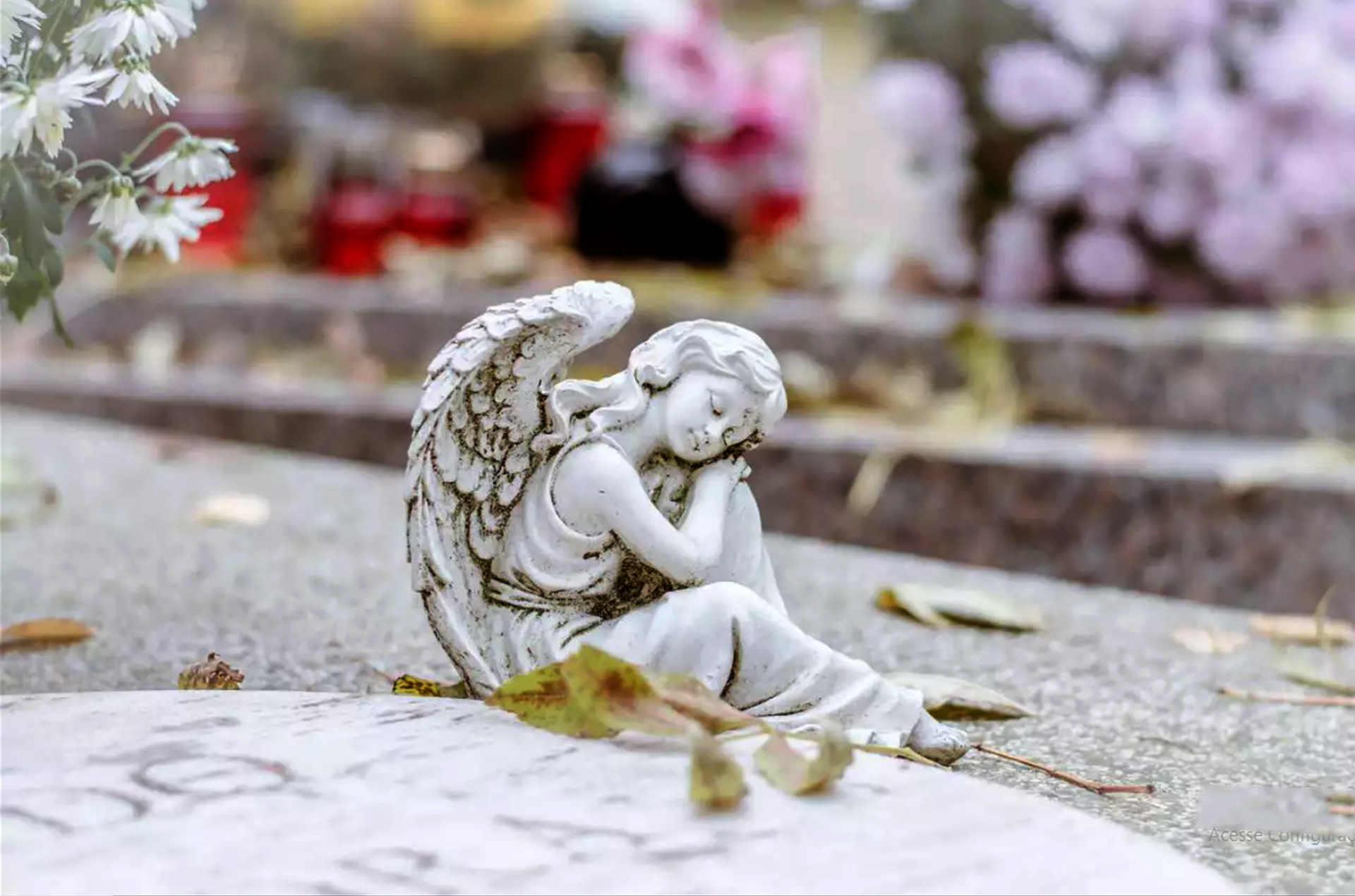 As almas não podem se socorrer por si mesmas, por isso, nós, cristãos devemos rezar por elas, especialmente pelas mais esquecidas As almas não podem se socorrer por si mesmas, por isso, nós, cristãos devemos rezar por elas, especialmente pelas mais esquecidas