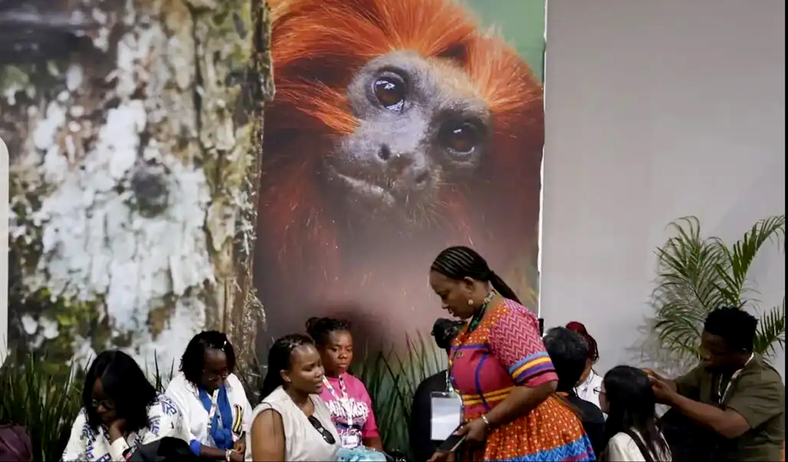 Tânia Rêgo/Agência Brasil Tânia Rêgo/Agência Brasil