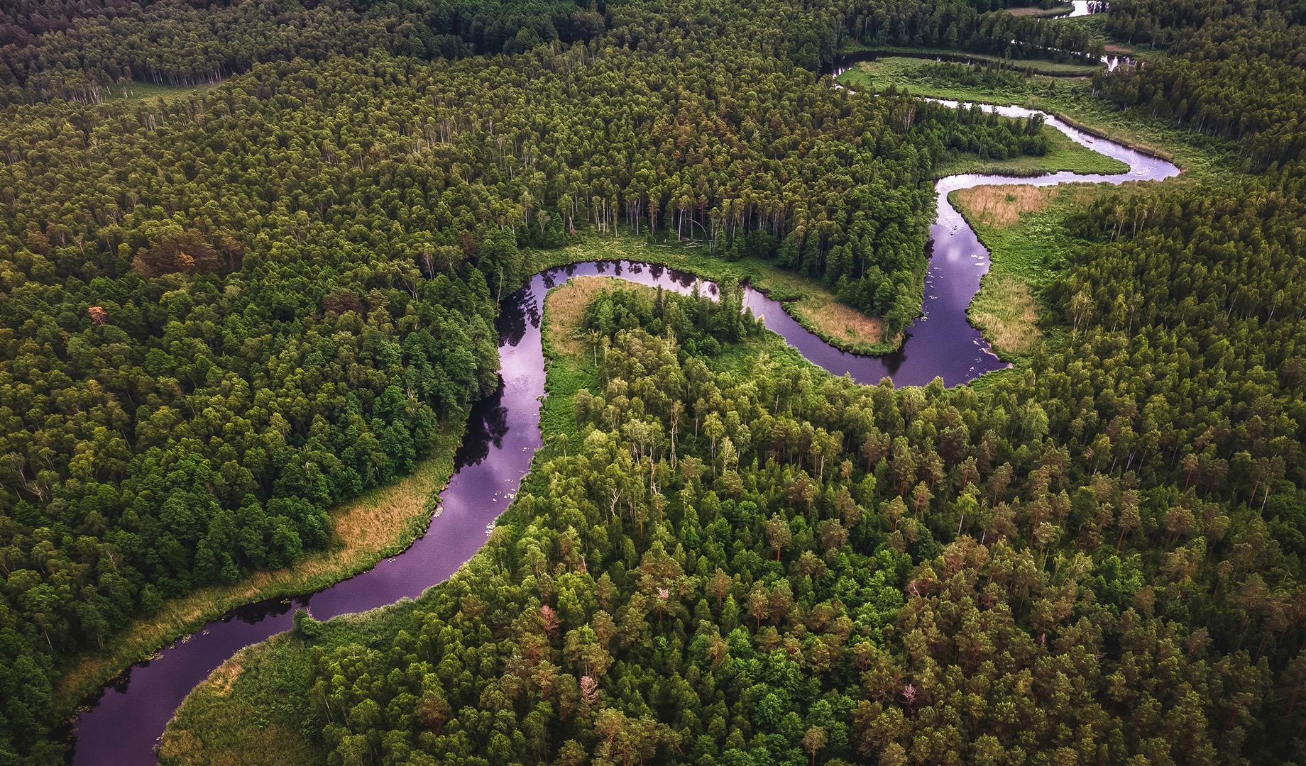 COP30 discutirá os cuidados urgentes com a Casa Comum / Foto: Adam Śmigielski por Unsplash COP30 discutirá os cuidados urgentes com a Casa Comum / Foto: Adam Śmigielski por Unsplash