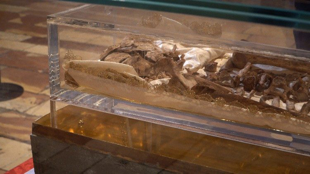 Restos mortais de São Francisco são expostos em relicário por ocasião dos 800 anos de sua morte (1226 – 2026) Restos mortais de São Francisco são expostos em relicário por ocasião dos 800 anos de sua morte (1226 – 2026)