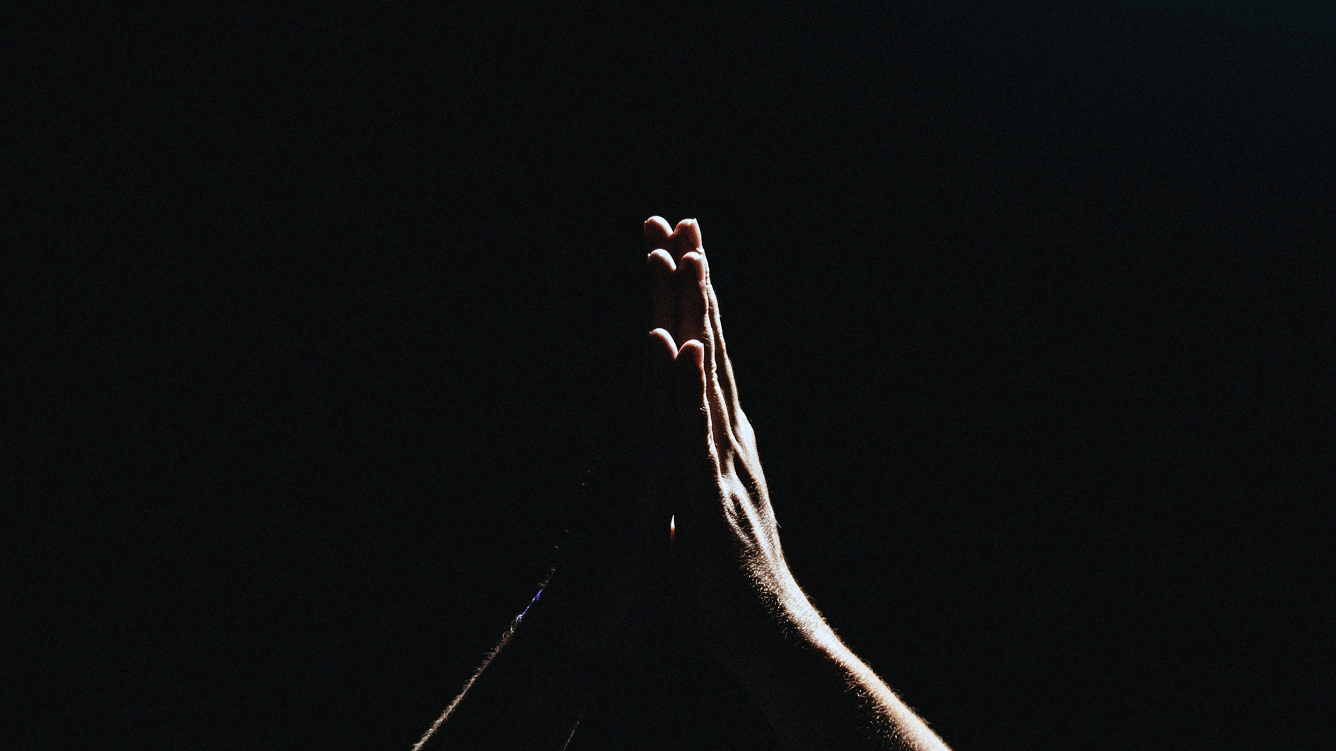 muçulmanos se unem em prece pela paz no Oriente / Foto: Amaury Gutierrez por Unsplash muçulmanos se unem em prece pela paz no Oriente / Foto: Amaury Gutierrez por Unsplash