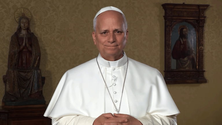 Papa Leão XIV reflete sobre dimensão moral dos desafios ecológicos / Foto: Reprodução Vatican News