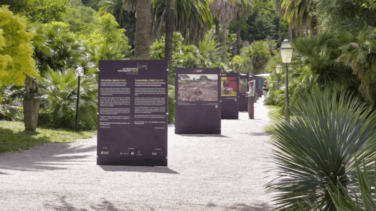 Exposição fotográfica “Homem-Natureza, equilíbrios frágeis” permanece aberta ao público até o fim de julho em CastelGandolfo / Foto: Fundação Príncipe Alberto II de Mônaco